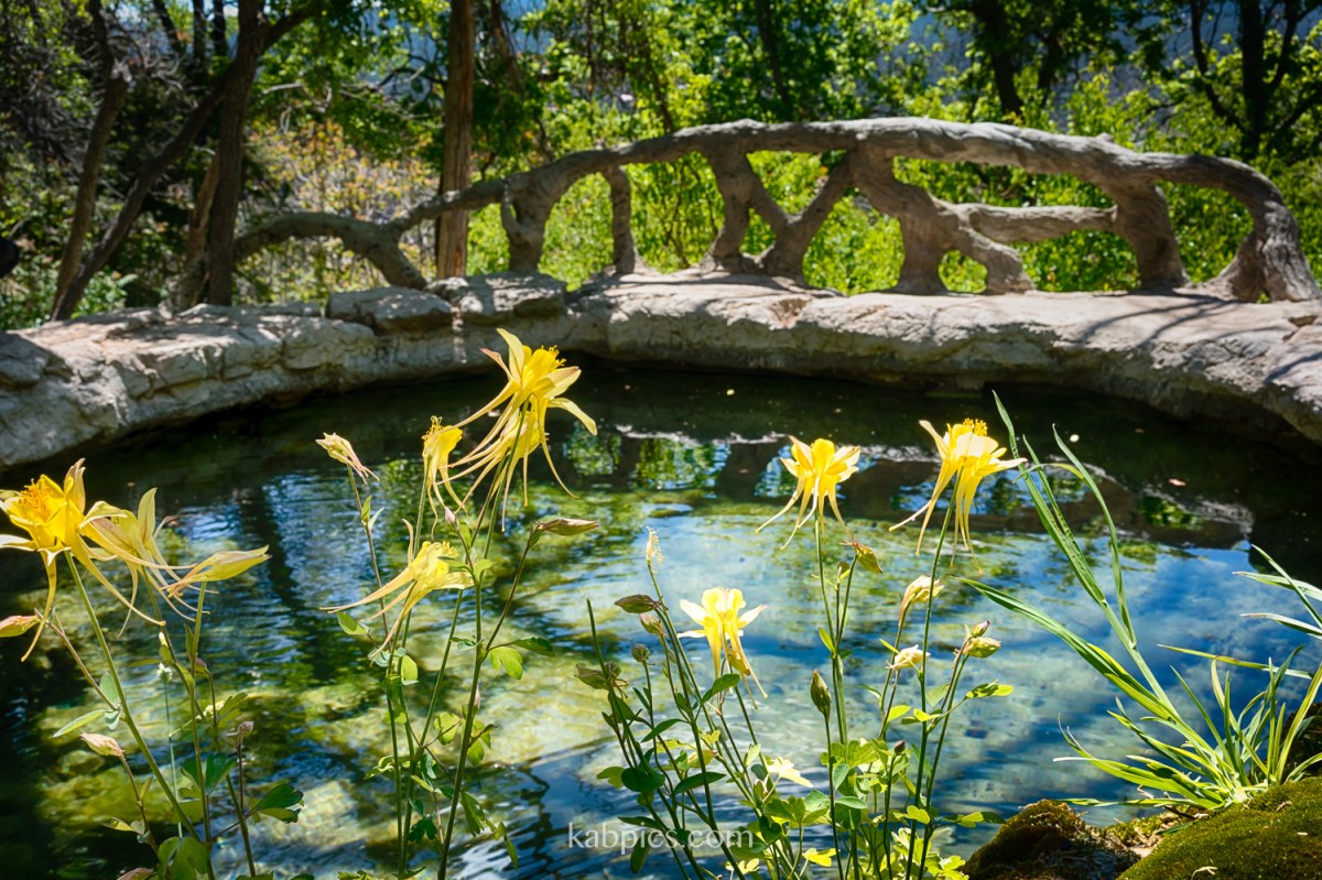 Nature Nearby: Albuquerque’s Carlito&nbsp;Springs